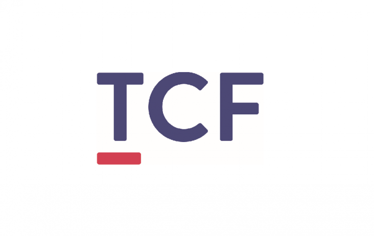 France Education International TCF logo