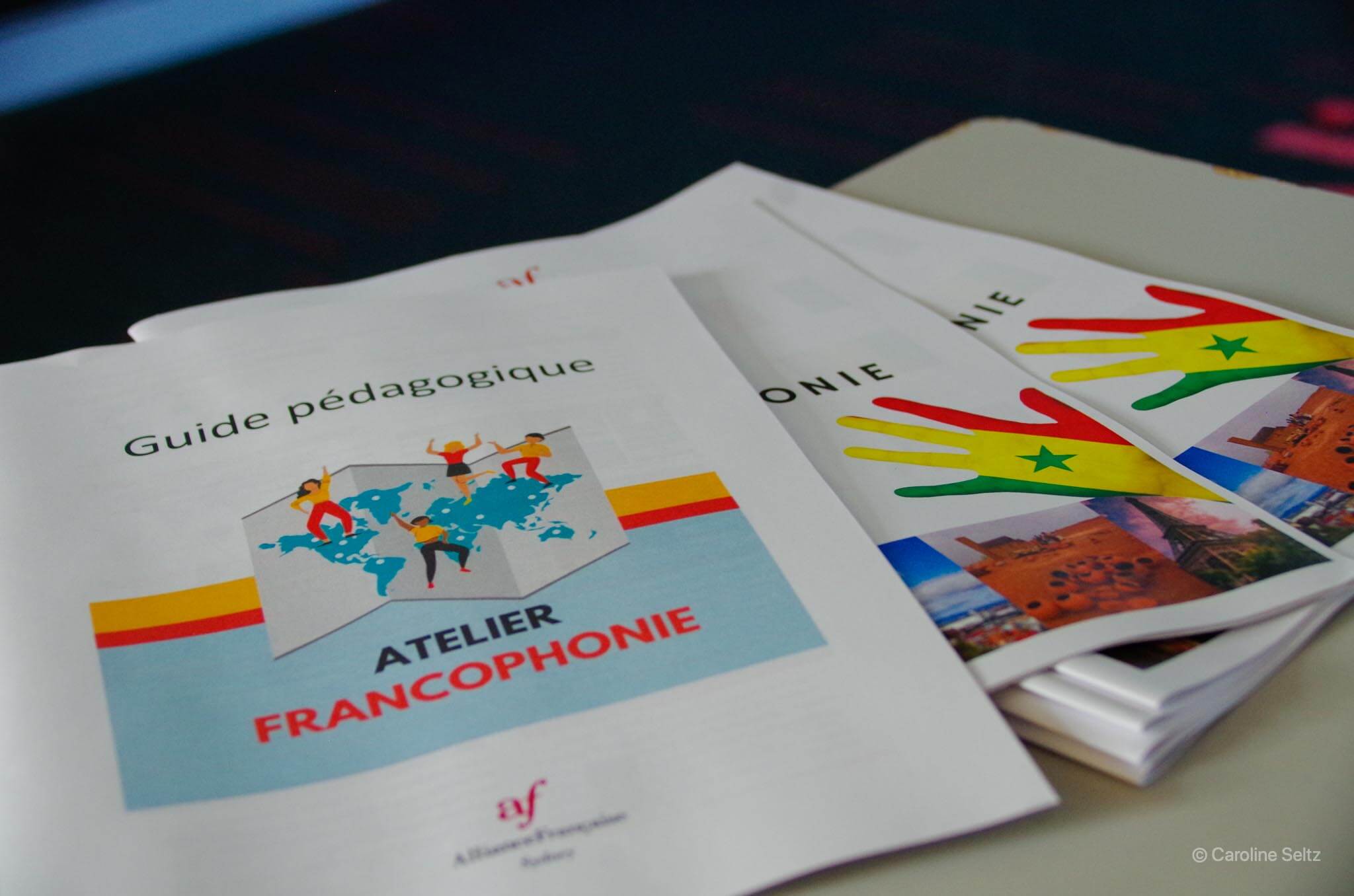 Student booklets and a teaching guide for a workshop on the Francophone world. 
