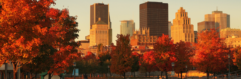 Discover the city of Montreal