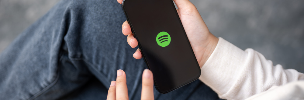 The Best of 2025: French Music on Spotify